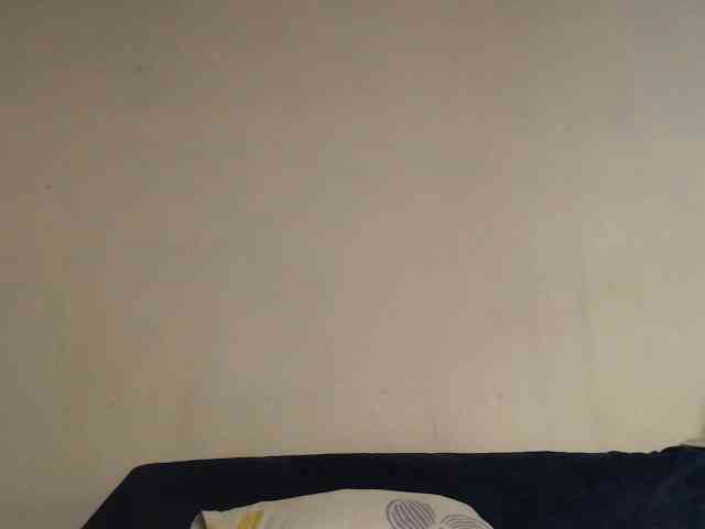lushtits1 webcam