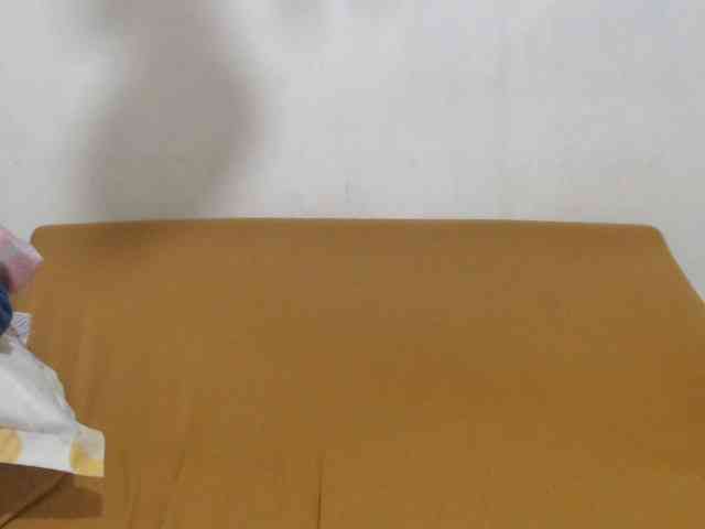 lushtits1 webcam