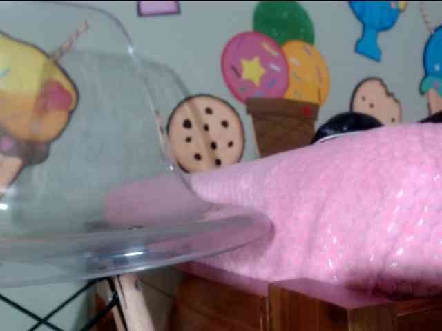 skinnykattylush19 skinnykattylush19