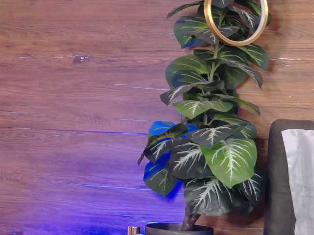 IrisSwift live cam on BongaCams
