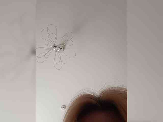 Elise-Sauvage webcam