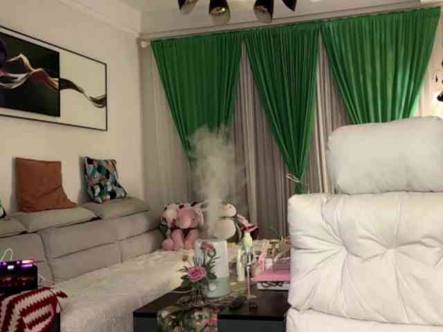 AnniBB webcam