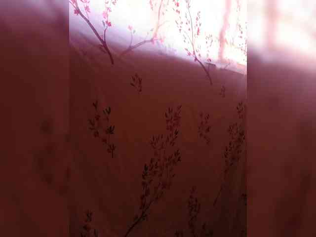 TheVipers webcam