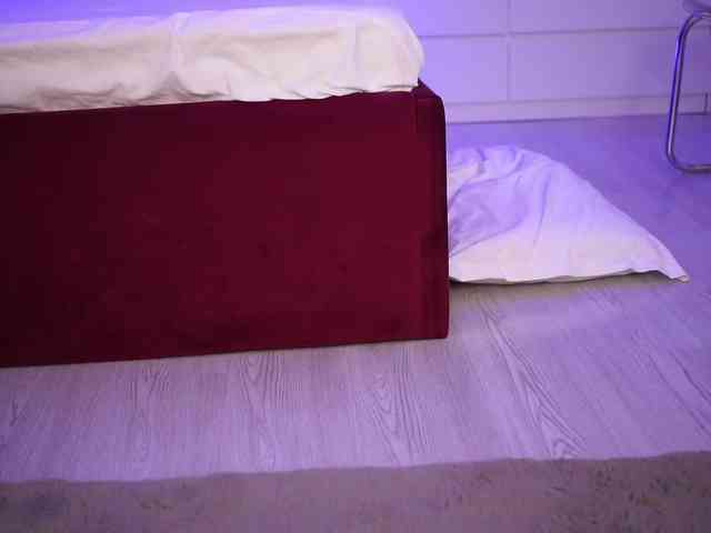 EvaXMoon webcam