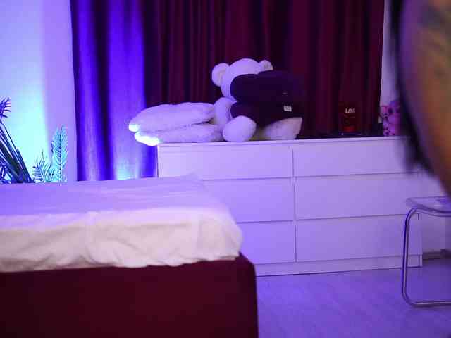 EvaXMoon webcam