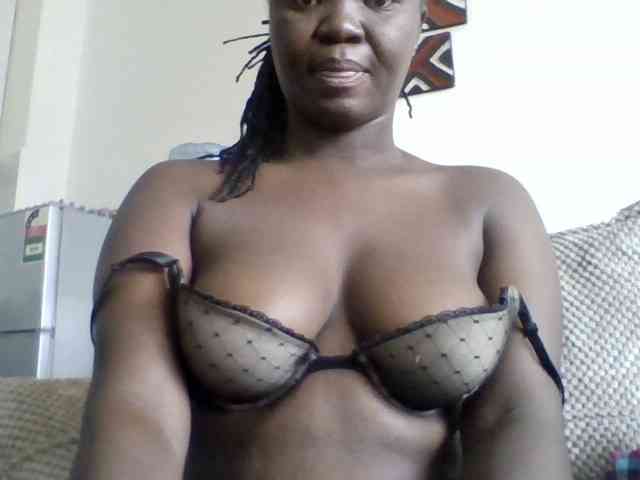 coco-curves