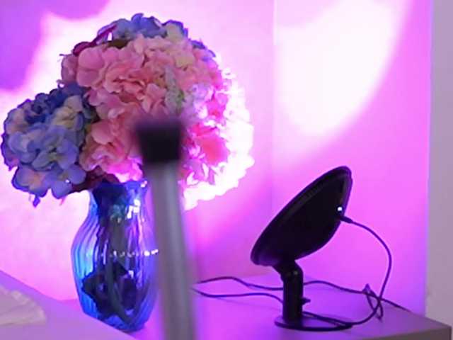 CellineHudson live cam on BongaCams