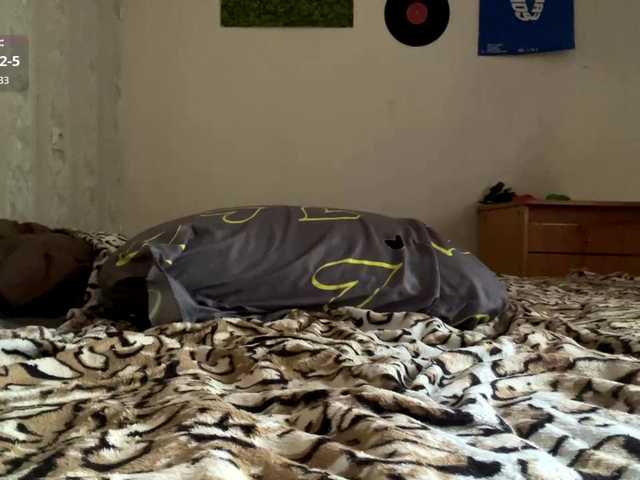 Lilipupp live cam on BongaCams