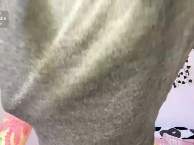 Lilipupp