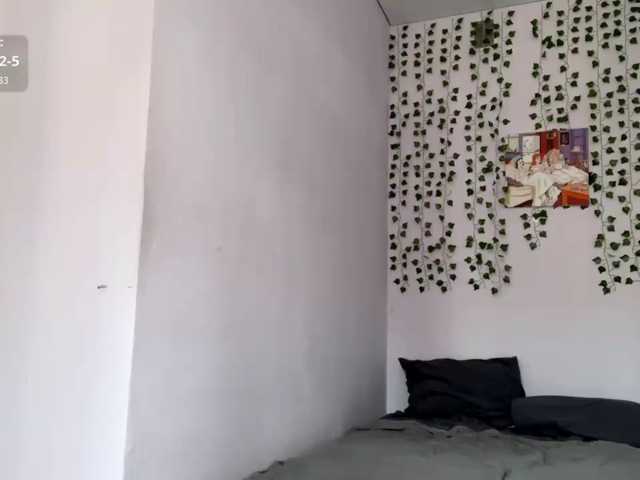 Lilipupp live cam