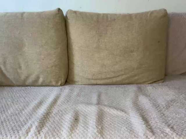 Lilipupp live cam on BongaCams