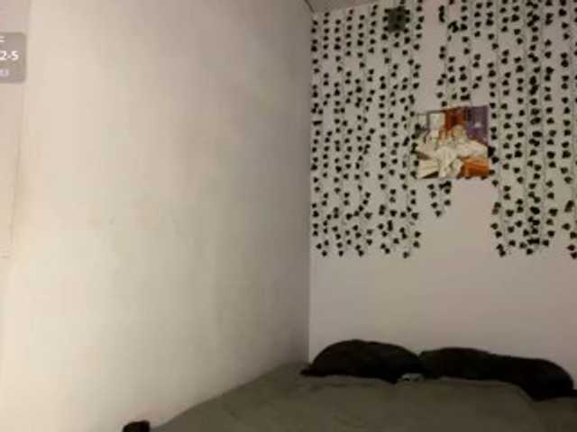 Lilipupp live cam on BongaCams