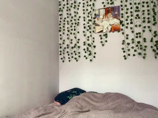 Lilipupp live cam on BongaCams