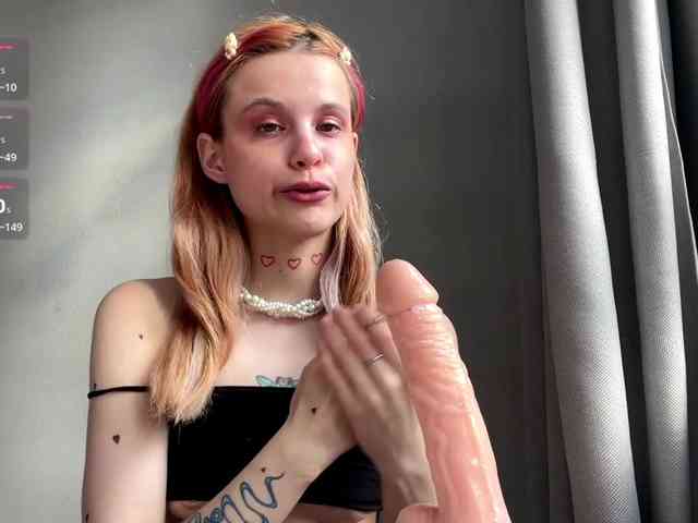 Lilipupp webcam