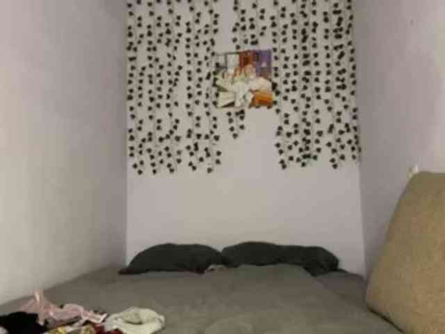 lilipupp's live room