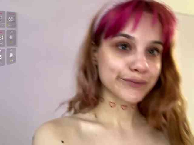 Lilipupp webcam
