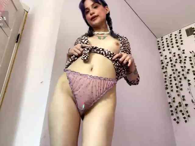 Lilipupp webcam