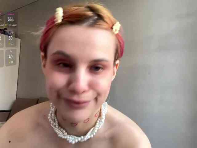 Lilipupp webcam