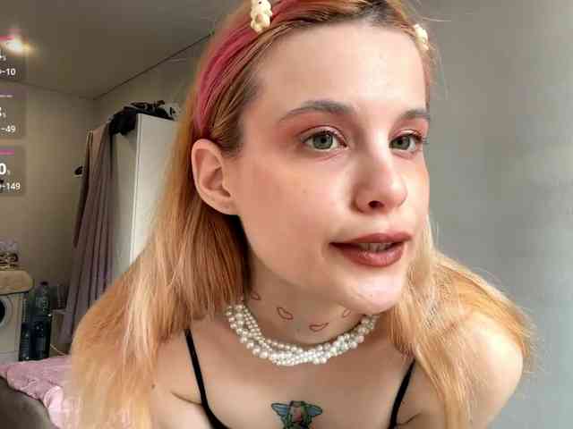 Lilipupp webcam