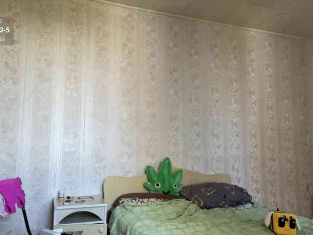Lilipupp webcam