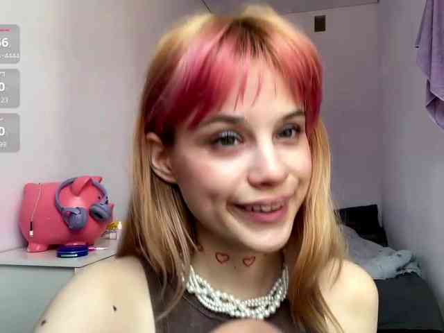 Lilipupp webcam