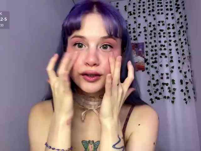 Lilipupp webcam