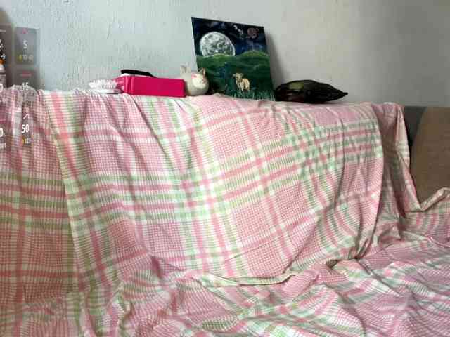 Lilipupp webcam