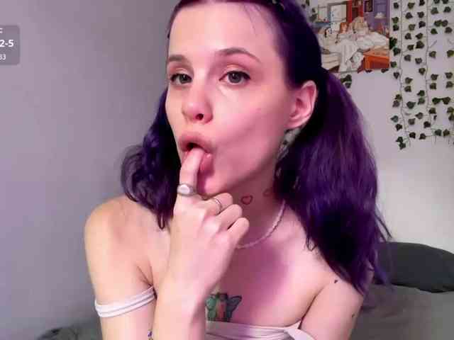 Lilipupp webcam