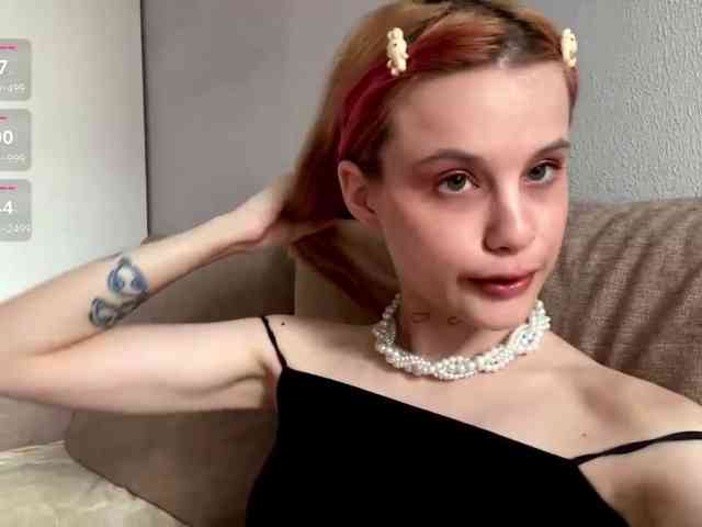 Lilipupp webcam