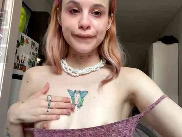 Lilipupp webcam