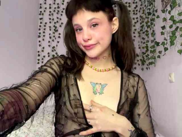 Lilipupp webcam
