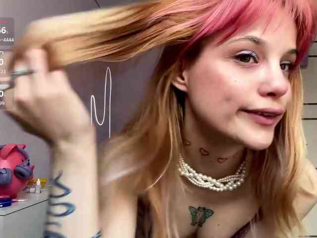 Lilipupp webcam