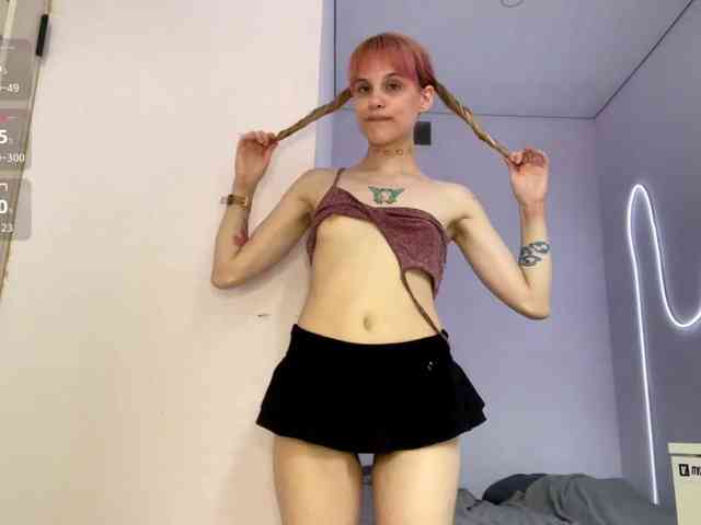 Lilipupp webcam