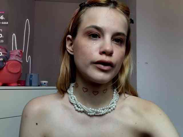 Lilipupp webcam