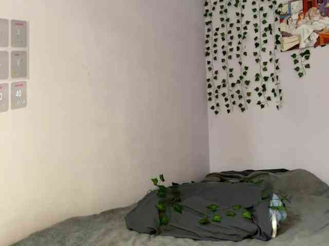lilipupp's live room