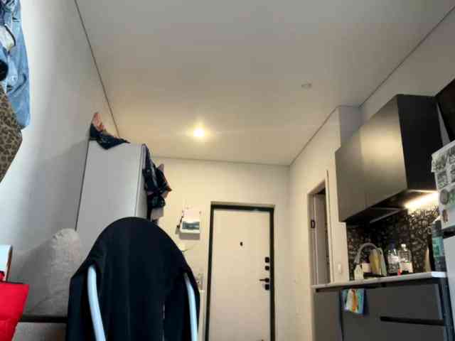 Lilipupp webcam