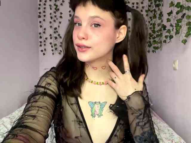 Lilipupp webcam
