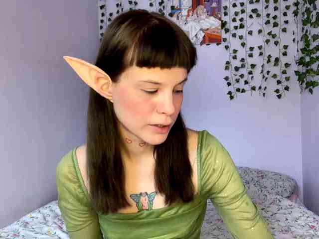 Lilipupp webcam
