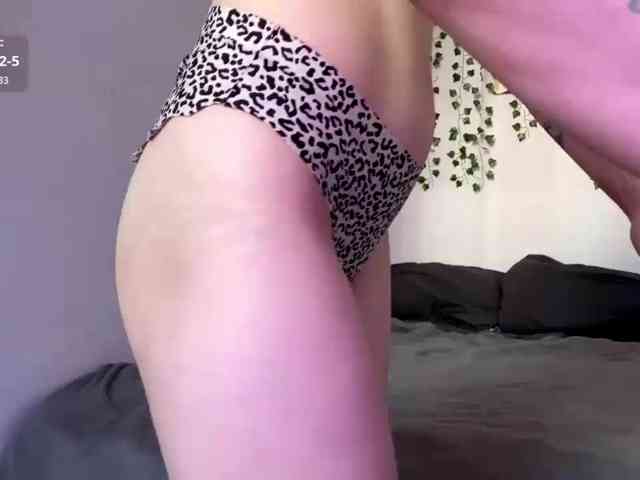 Lilipupp webcam