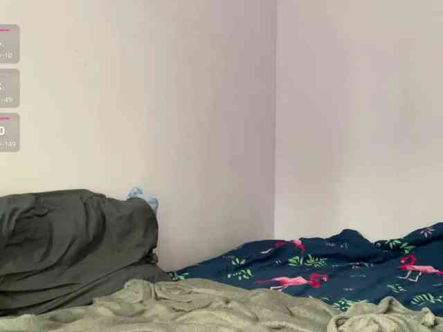 Lilipupp webcam