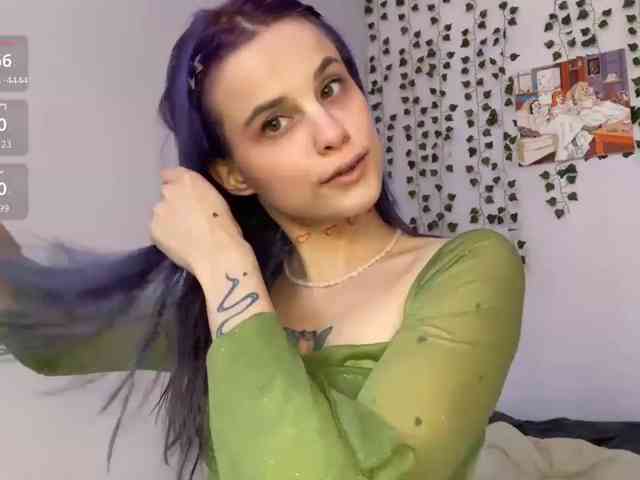 Lilipupp webcam