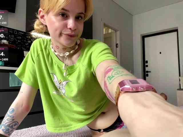 Lilipupp webcam