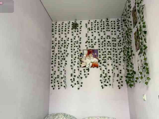 lilipupp's live room