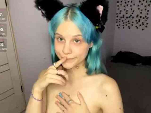 Lilipupp webcam