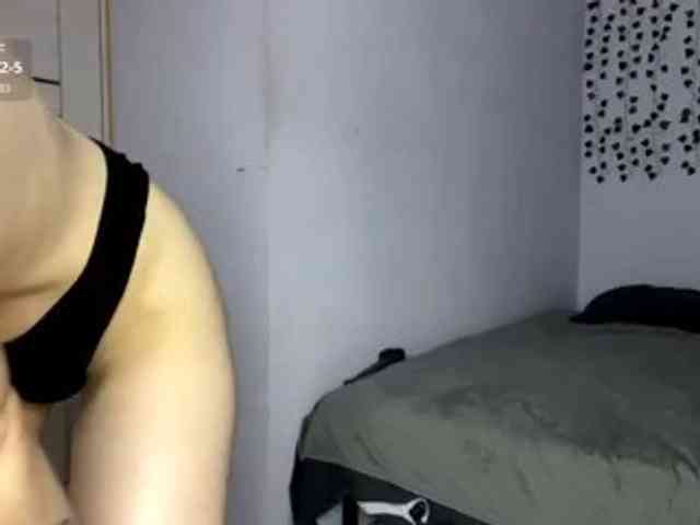Lilipupp webcam