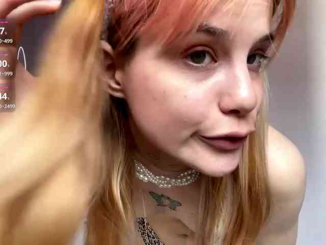 Lilipupp webcam
