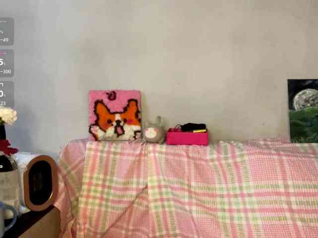 Lilipupp webcam