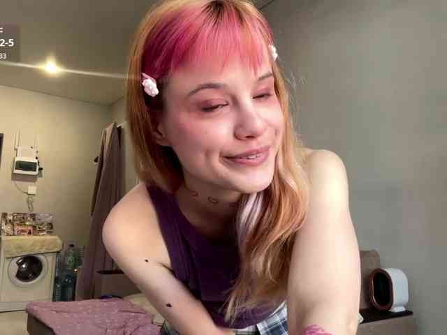 Lilipupp webcam