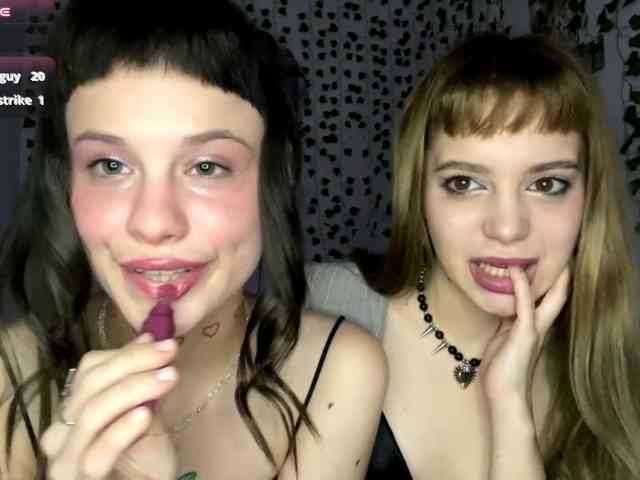Lilipupp webcam