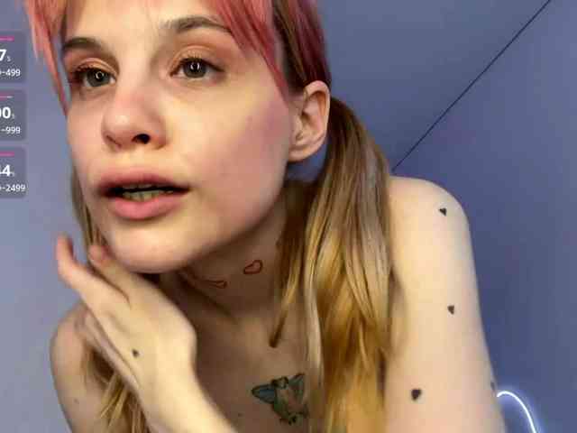 Lilipupp webcam